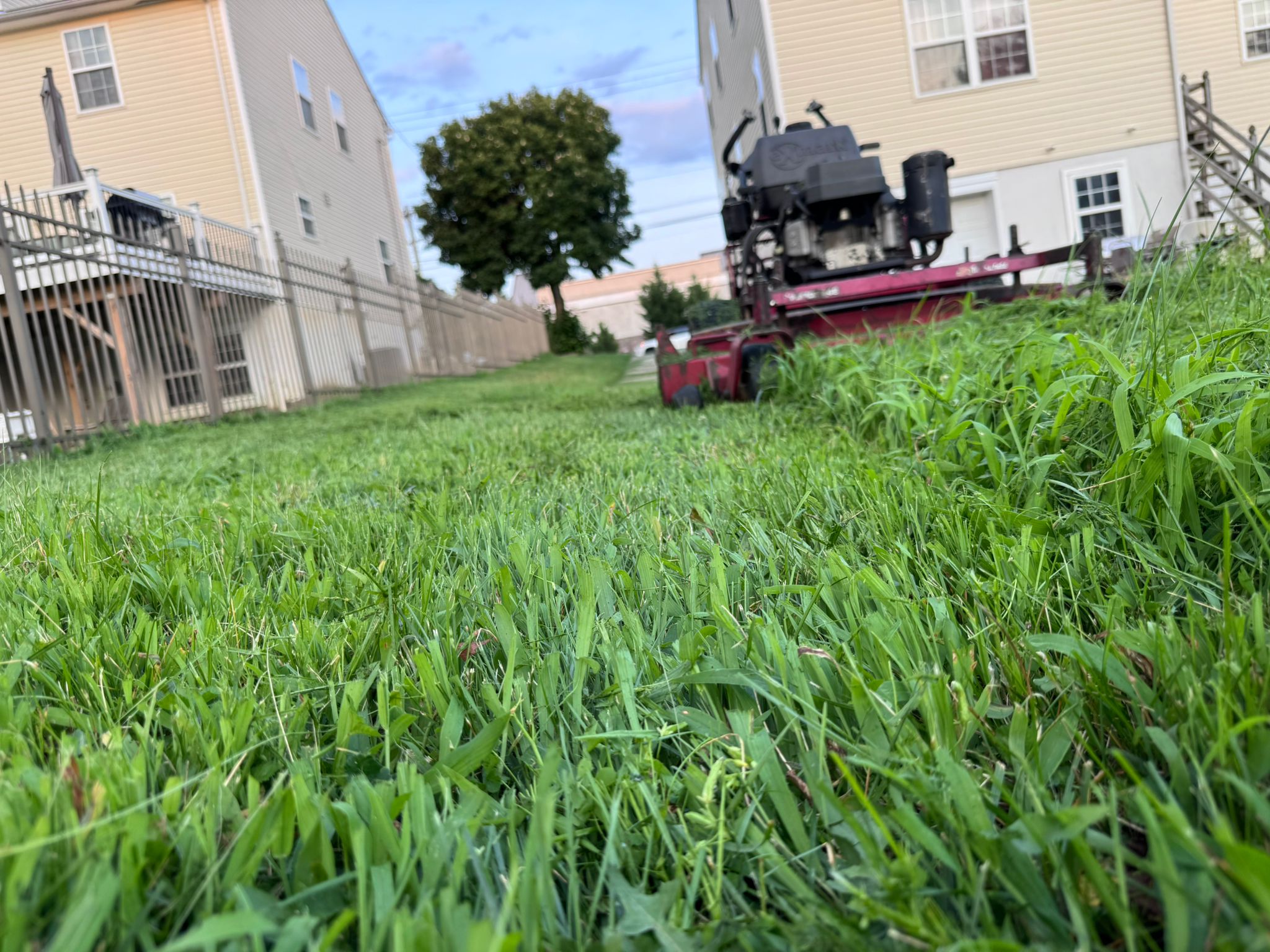 New Eden Landscaping